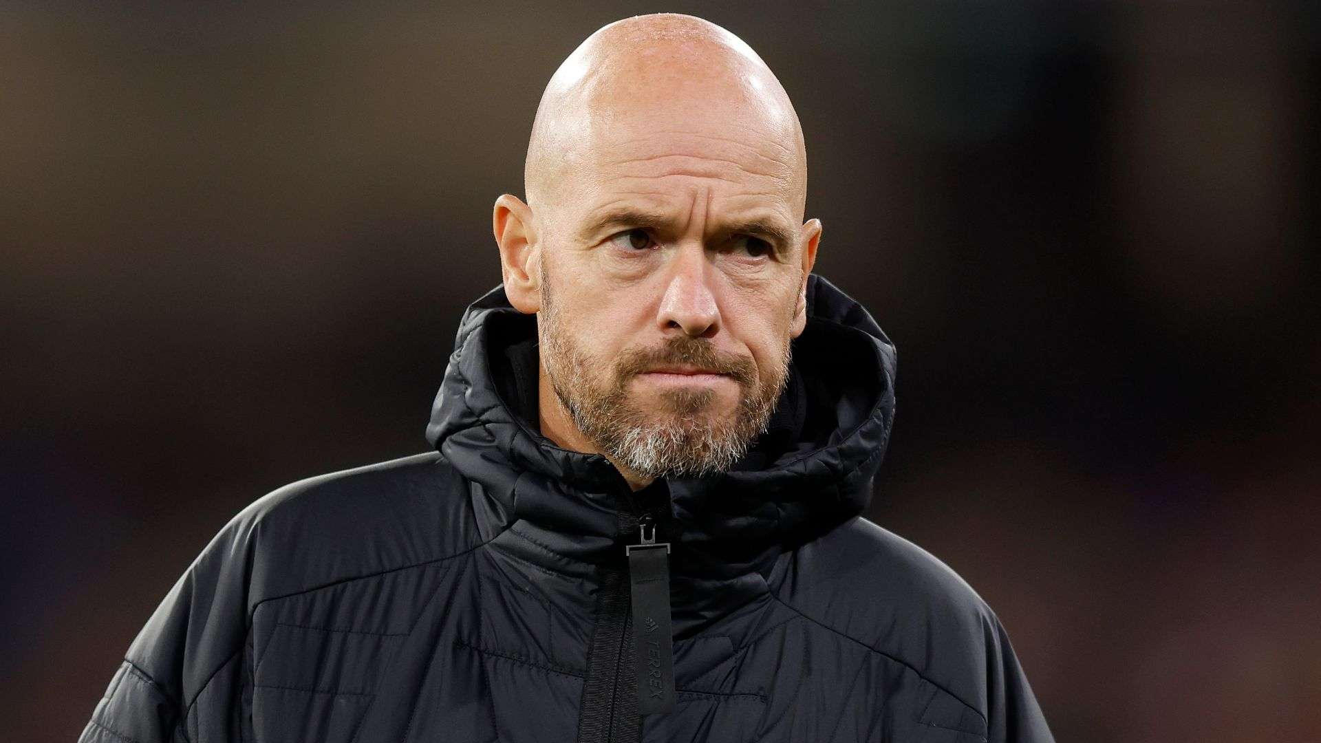 积极引入国 积极引入国